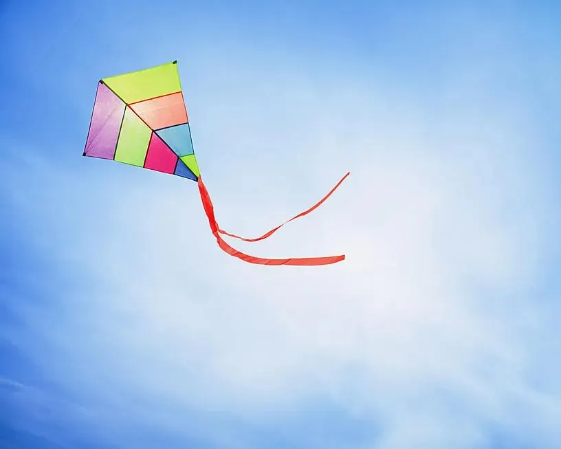 Kites in the Sky